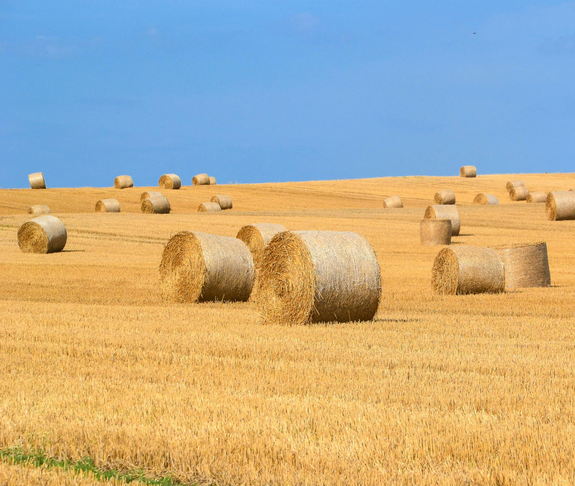 Купува земеделска земя Купува земеделска земя